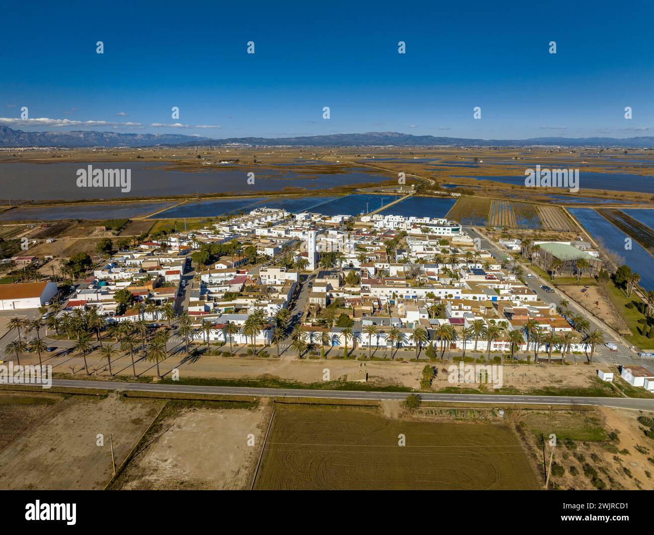 Vue aérienne de la ville de Poblenou del Delta entourée de rizières dans le delta de l'Èbre (Montsià, Tarragone, Catalogne, Espagne) Banque D'Images