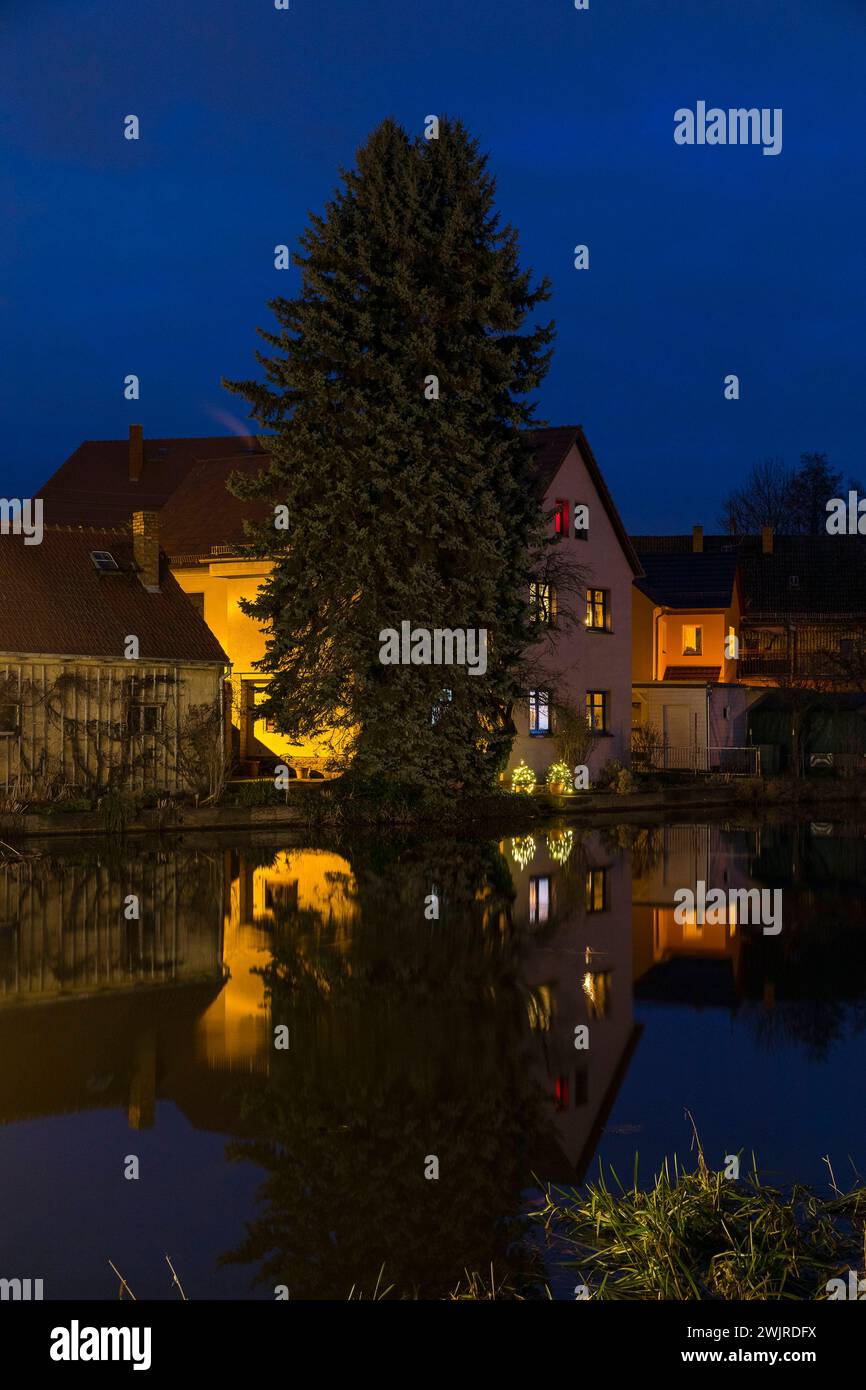 AM Abend beleuchtetes Wohnhaus mit kleinen Weihnachtsbäumen und Spiegelung im Dorfteich von Bärnsdorf, Radeburg, Sachsen, Deutschland *** en soirée Banque D'Images