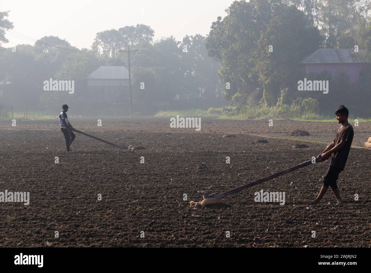 Munshiganj, Dhaka, Bangladesh. 17 février 2024. Les agriculteurs préparent un champ à Munshiganj, au Bangladesh, pour semer des graines de pommes de terre. Les pommes de terre mettent au moins 90 jours à mûrir après le semis. Les pommes de terre entières ou les morceaux de pommes de terre peuvent être utilisés comme graines. Un groupe de travailleurs peut récolter jusqu'à 3 000 kg de pommes de terre par jour. Les champs sont méticuleusement organisés, avec des rangées de pommes de terre soigneusement alignées, promettant un rendement futur qui contribuera à la subsistance et à la prospérité économique de la région. Les pommes de terre sont devenues un aliment de base dans de nombreuses régions du monde et font partie intégrante d'une grande partie de l'approvisionnement alimentaire mondial. (Crédit Banque D'Images