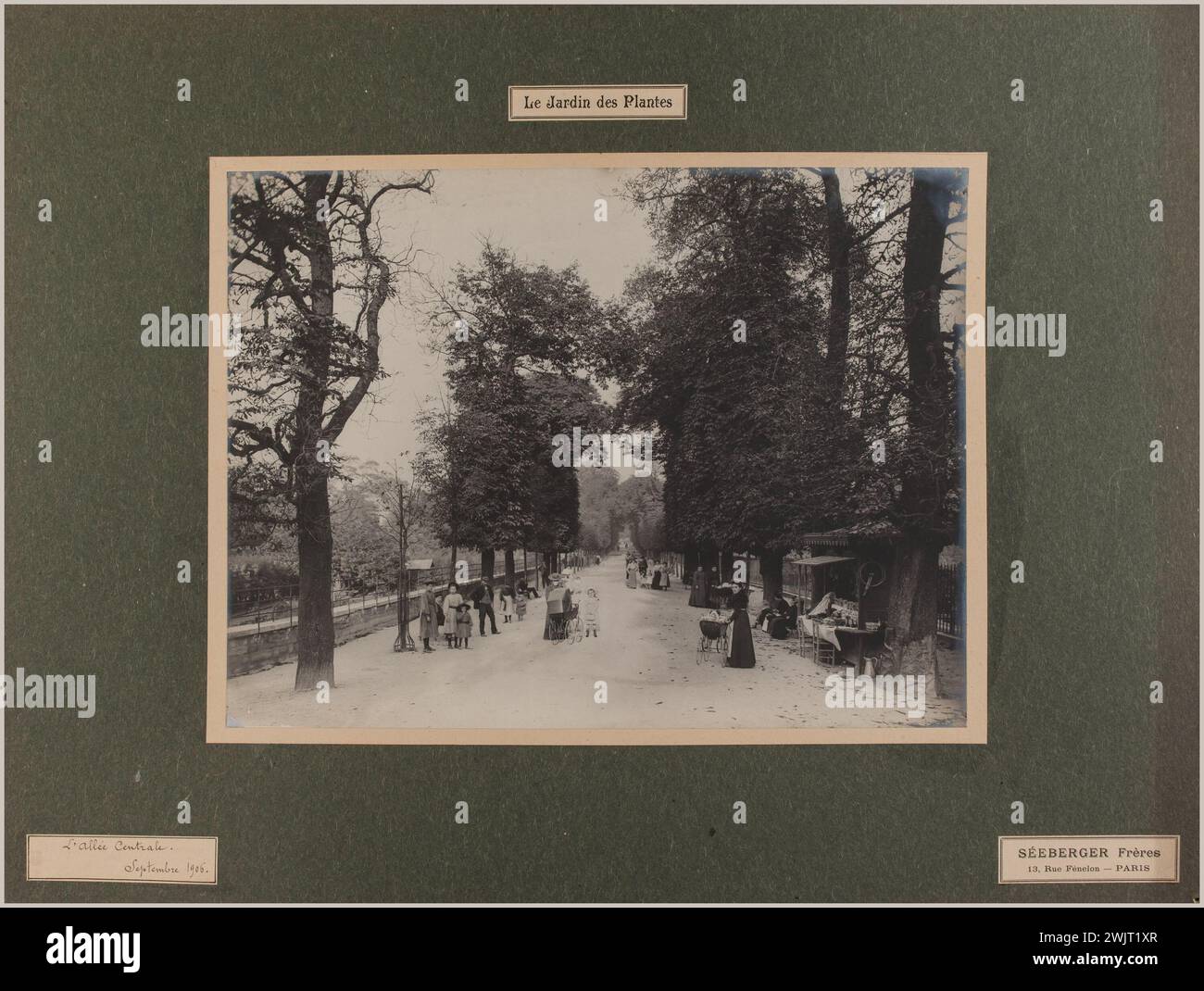 Séeberger Frères. 'L'allée centrale. Jardin des plantes, 5ème arrondissement, Paris'. Tirage au bromure de gélatine d'argent. en 1906-09-1906-09. Paris, musée Carnavalet. 123824-13 Banque D'Images