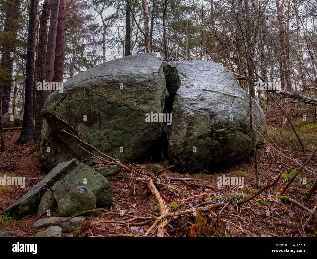 Grand rocher divisé en deux dans la forêt. Pierre déposée lors de la dernière période glaciaire en Scandinavie Banque D'Images