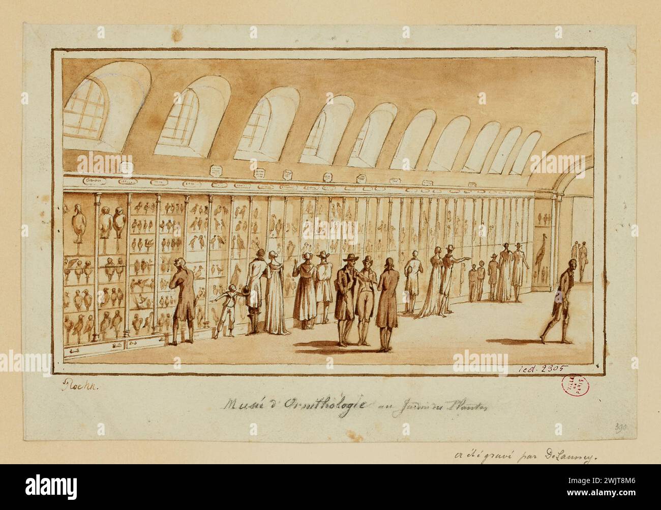 Roehn, Adolphe Eugène Gabriel (n.1780-03-05-D.1867-10-19), musée d'ornithologie du jardin des plantes (titre enregistré (lettre)). LaVis de Sépia. Musée Carnavalet, histoire de Paris. Le musée d'ornithologie dans le jardin des plantes Banque D'Images