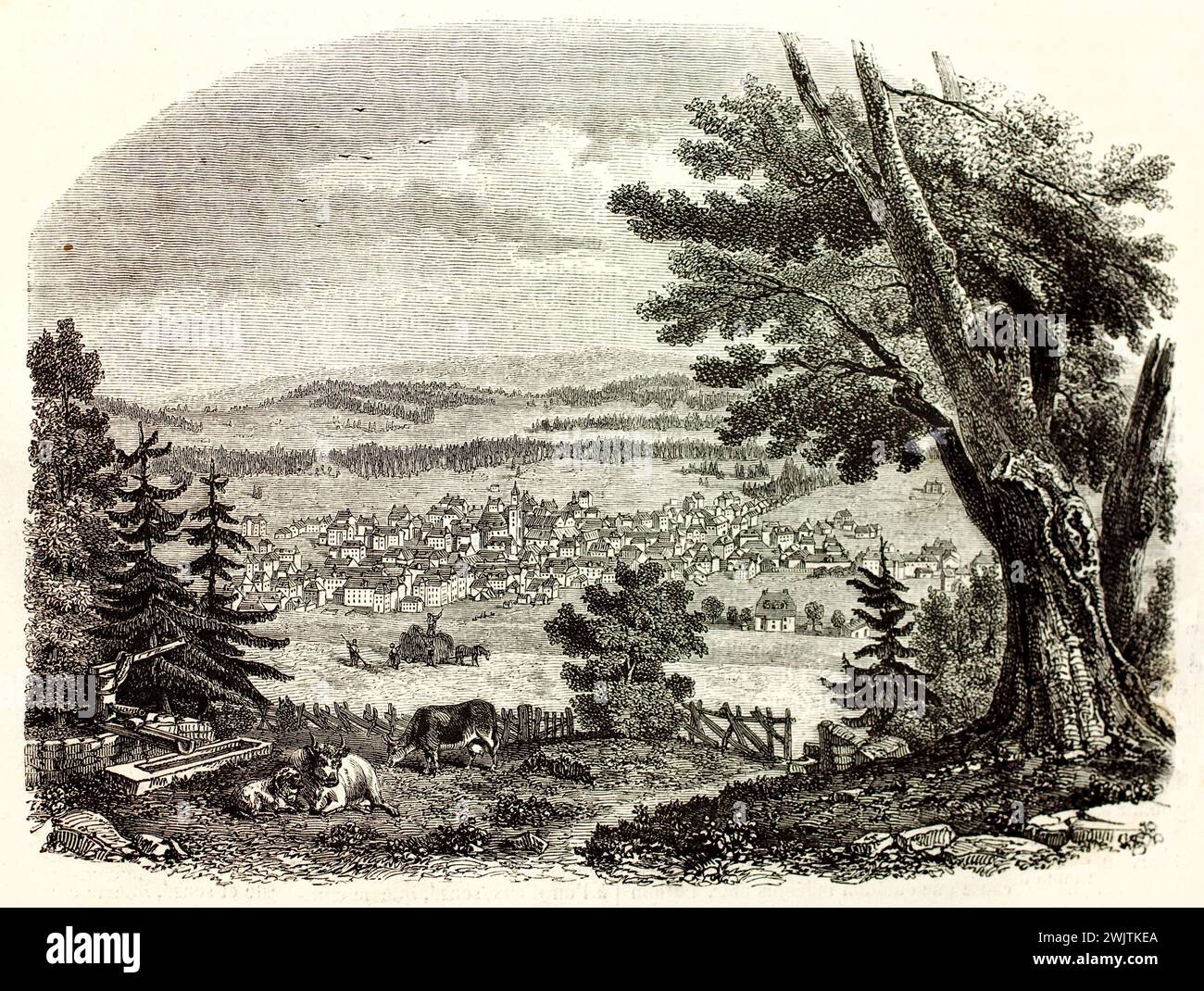 Vue panoramique de la chaux-de-Fonds à flanc de coteau boisé avec des bovins en pâturage, gravure horizontale en noir et blanc du magasin pittoresque, 1852. Banque D'Images
