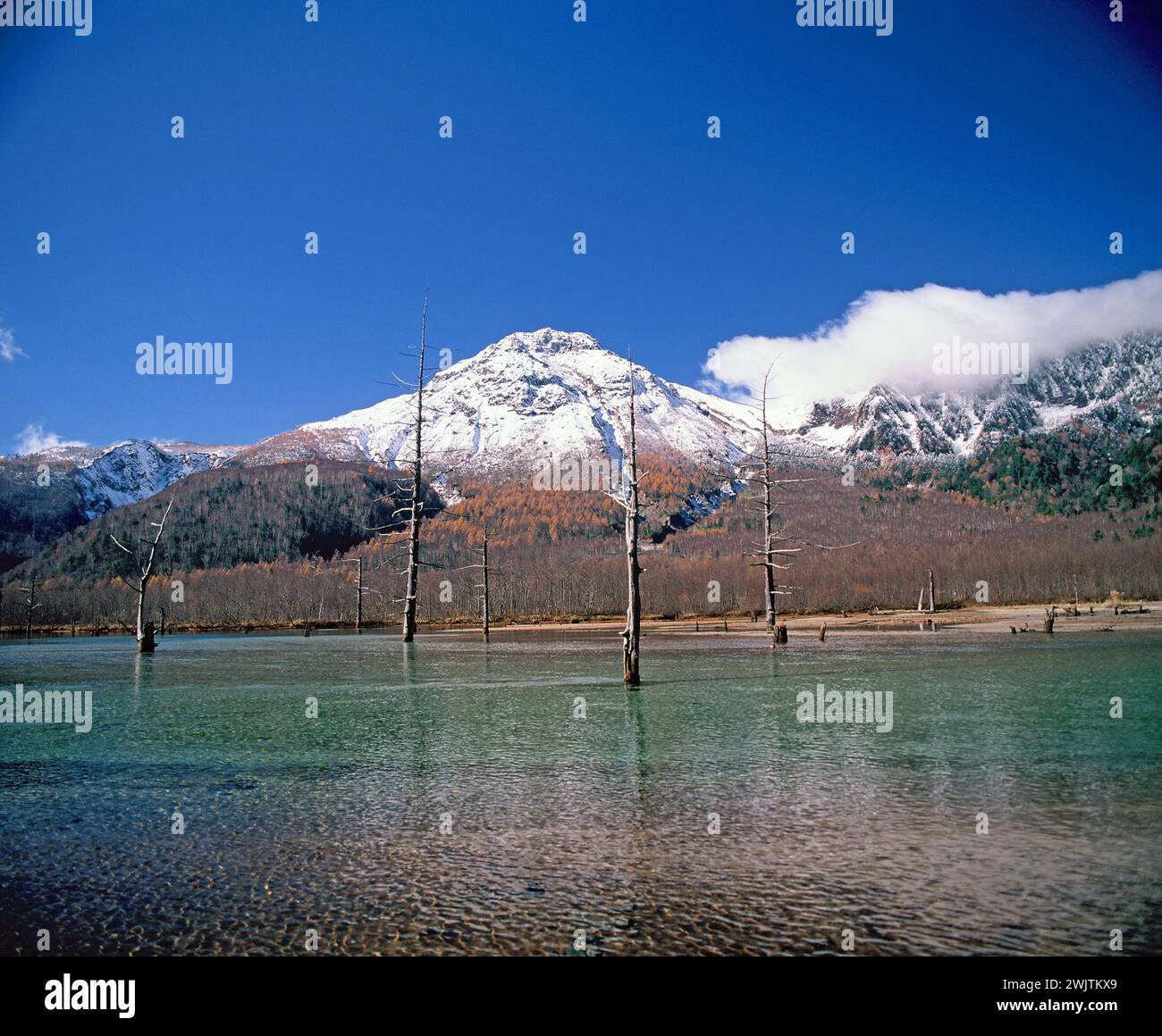 Japon. Nagano. Kamikōchi. Montagnes Hida. Pic de neige du mont Yakedake et étang Taisho. Banque D'Images