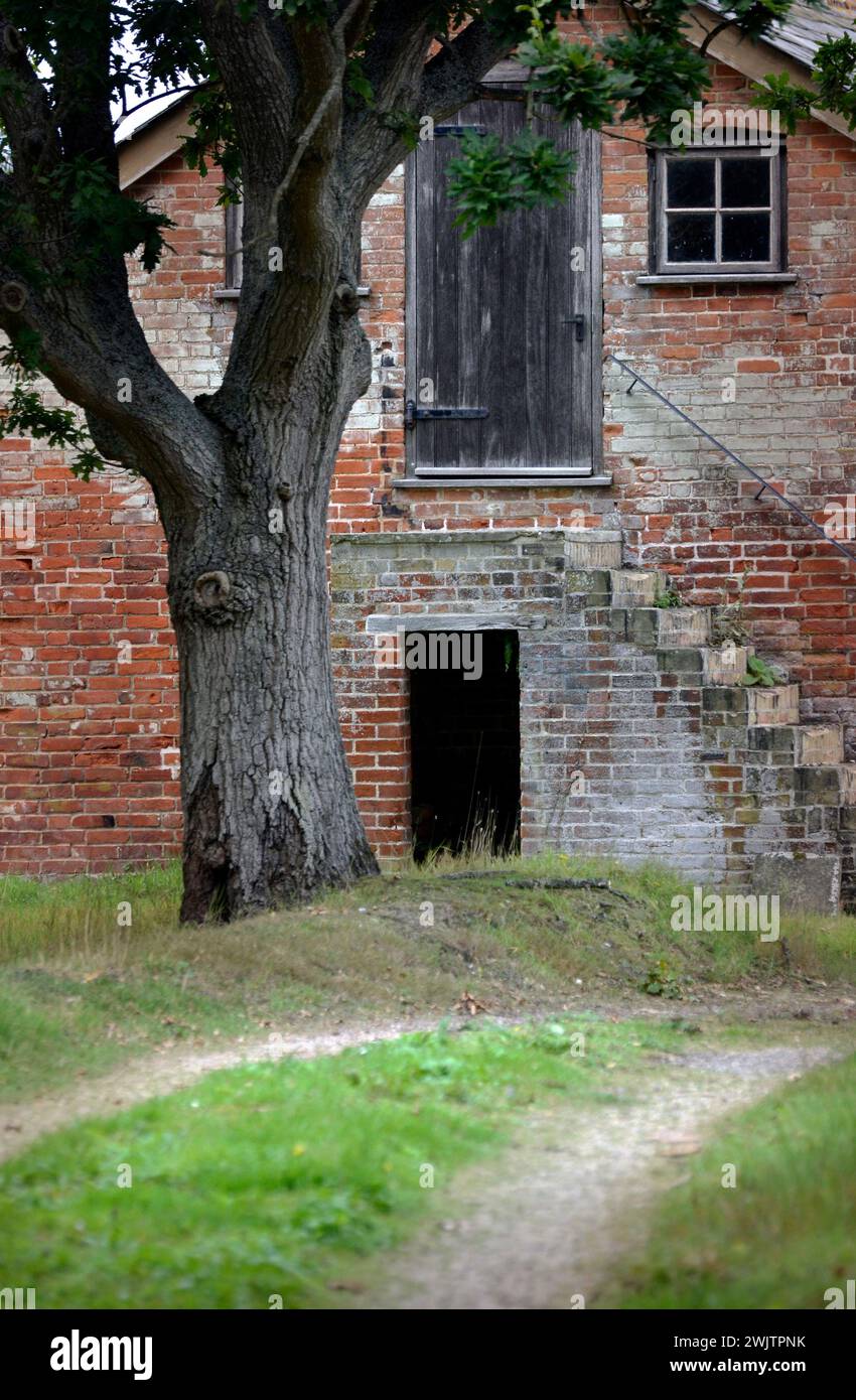 vieille grange multi-étages et arbre dunwich suffolk angleterre Banque D'Images