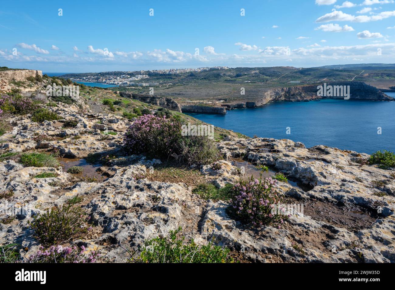 Vue depuis la garrigue de limstone à Marfa Ridge vers Mellieha, Malte Banque D'Images