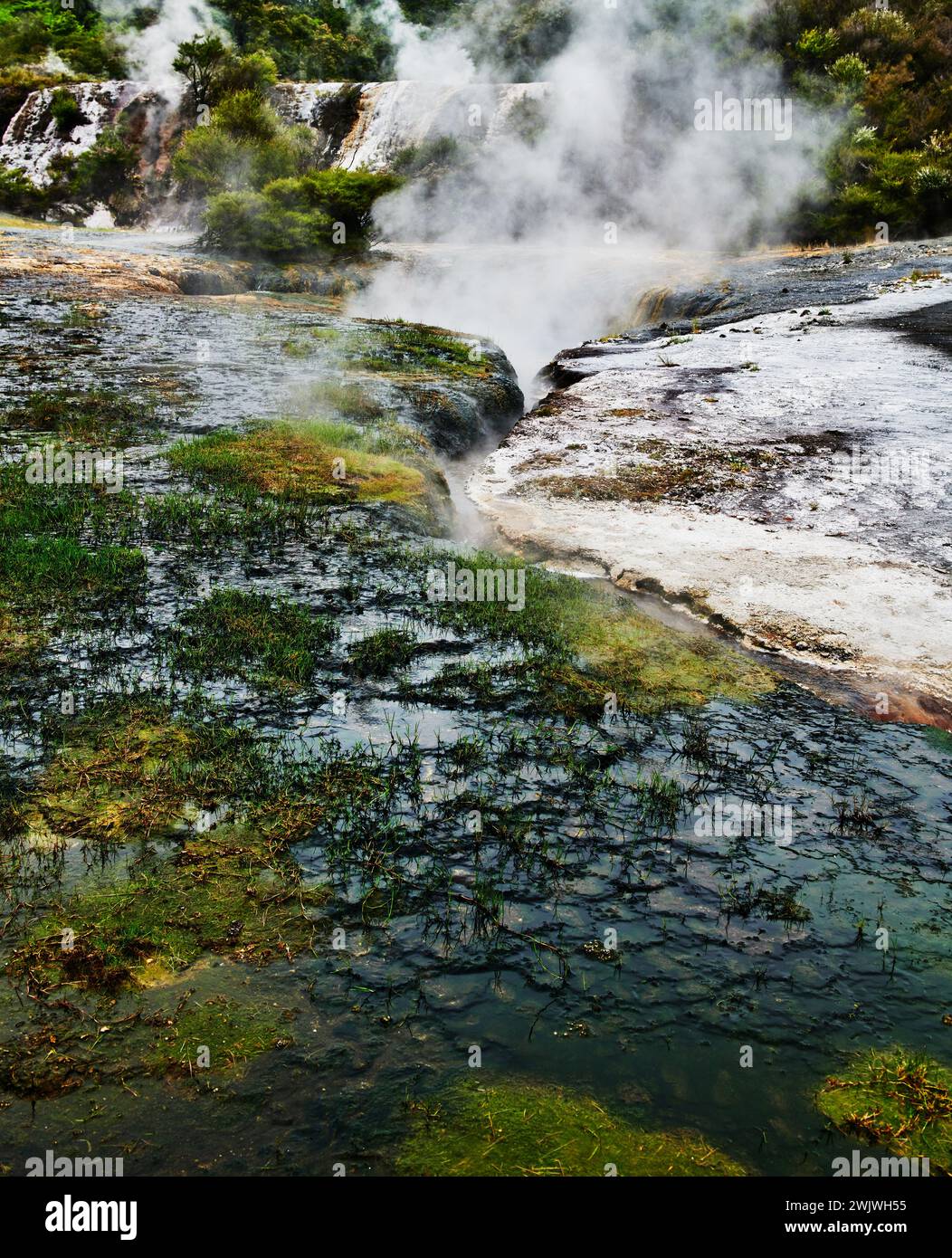 Paysage du parc géothermique Orakei Korako, Taupo, Île du Nord, Nouvelle-Zélande Banque D'Images