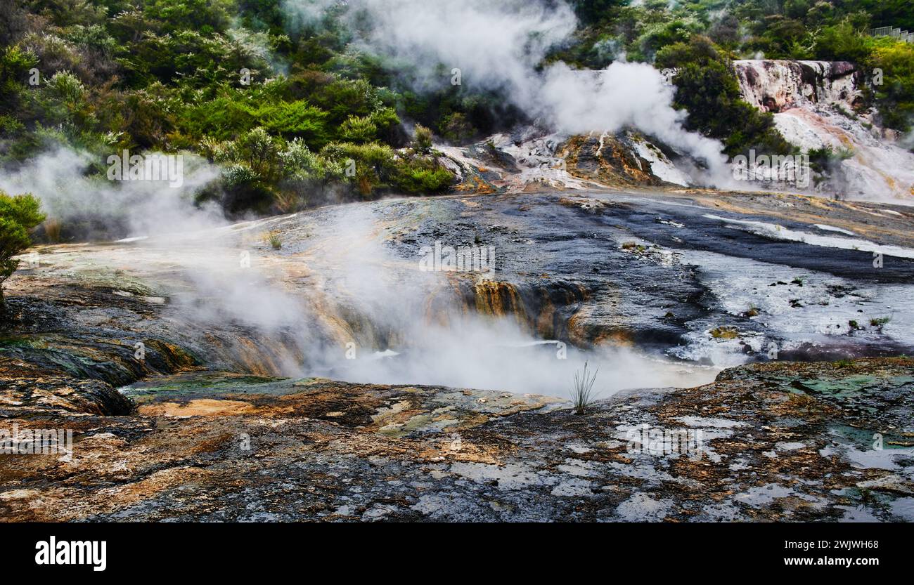 Paysage du parc géothermique Orakei Korako, Taupo, Île du Nord, Nouvelle-Zélande Banque D'Images