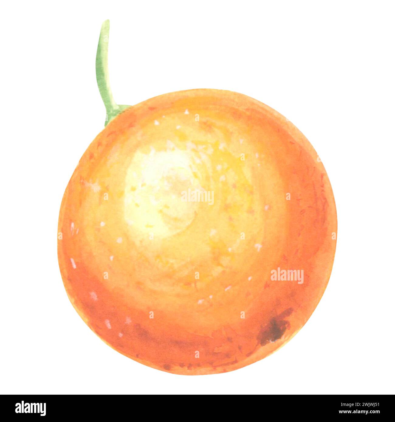 Aquarelle oranges fruits mûrs entiers, juteux, oranges isolées. Modèle d'illustration dessiné à la main d'une alimentation saine pour décorer les invitations et les cartes. Banque D'Images