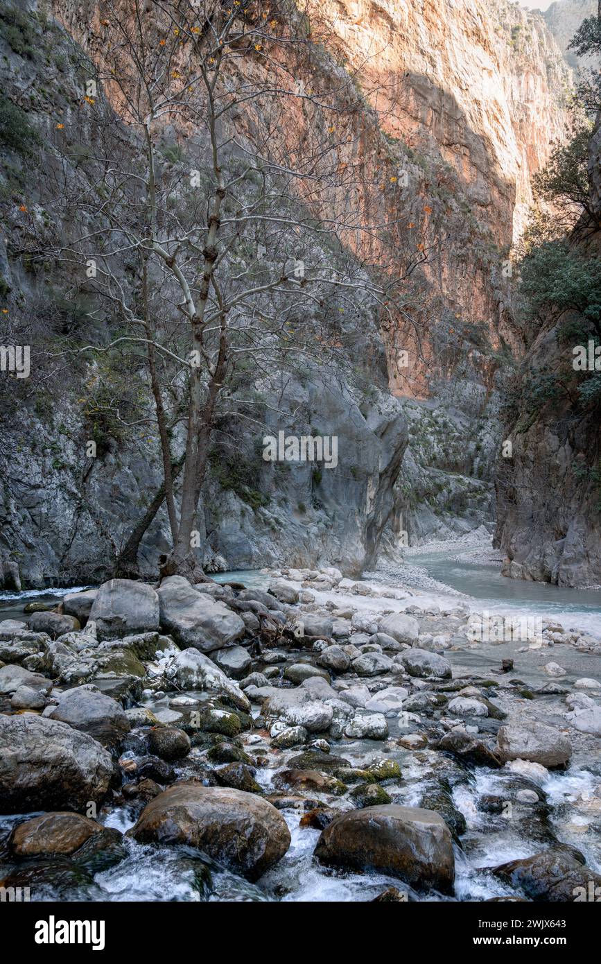 Majestic Realm : l'oasis verdoyante des gorges de Saklikent Banque D'Images