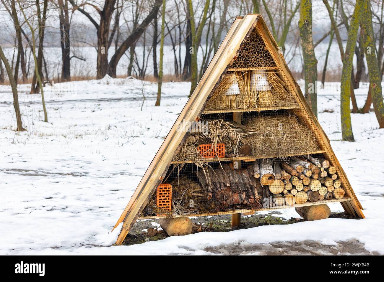 Hôtel d'insectes en paille, bâtons de bambou, briques, tuiles, galets de rivière, écorce d'arbre et tiges tubulaires dans un parc d'hiver sur la rive de la rivière. Banque D'Images