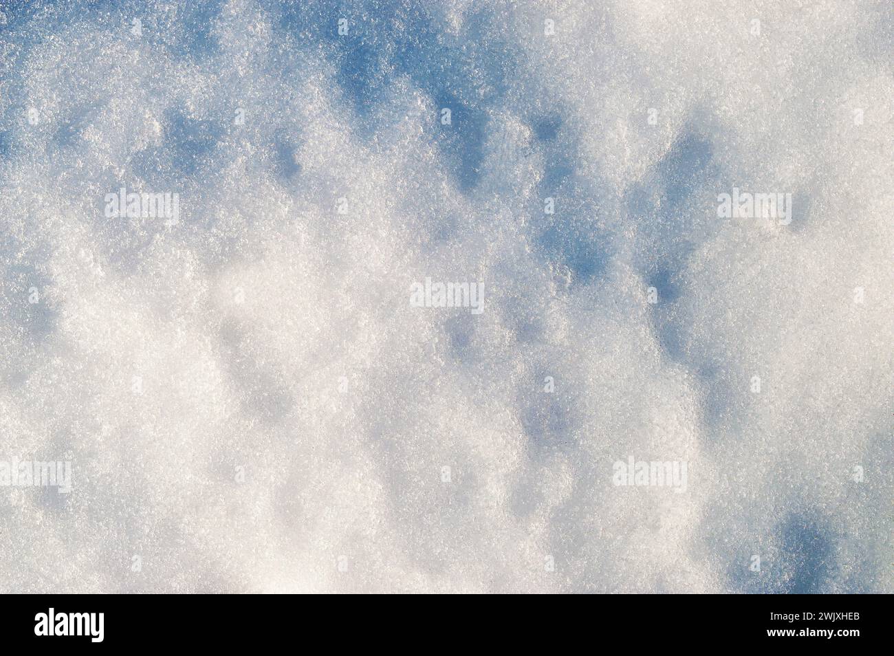 Texture de fond de neige blanche propre et fraîche. Fond d'hiver avec des flocons de neige gelés et des monticules de neige. Morceaux de neige. Détails saisonniers du paysage. Weat froid Banque D'Images