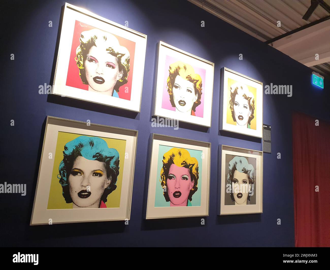Œuvre „Kate Moss“ de Banksy dans l’exposition „le mystère de Banksy - Un esprit de génie“ au Technikum de Mülheim an der Ruhr sur 18.11.2022 Banque D'Images
