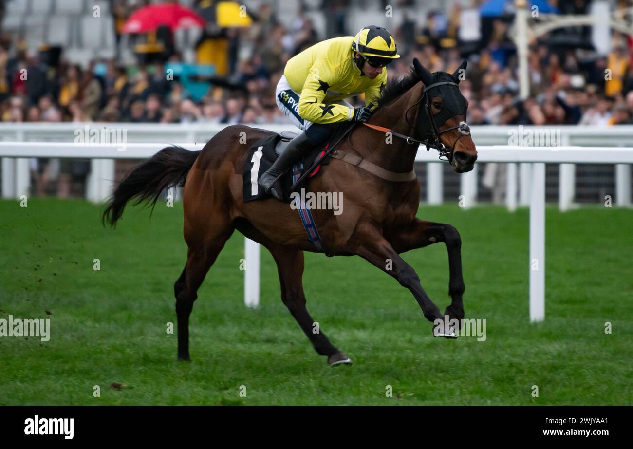 Ascot Racecourse, Royaume-Uni, samedi 17 février 2024 ; Anno Power et le jockey Jonathan Burke remportent l'Open National Hunt Flat Race britannique EBF Mares pour l'entraîneur Harry Fry et les propriétaires Pat & Edward Dolan-Abrahams. Crédit JTW Equine images / Alamy. Banque D'Images