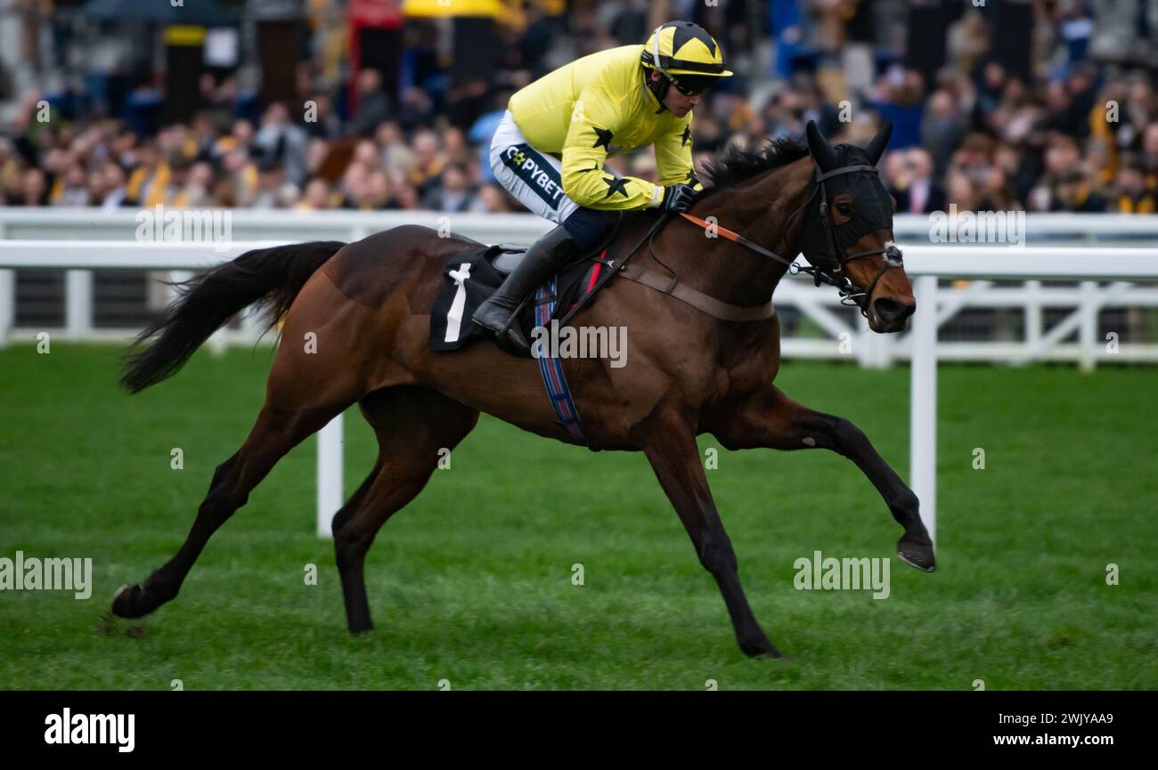 Ascot Racecourse, Royaume-Uni, samedi 17 février 2024 ; Anno Power et le jockey Jonathan Burke remportent l'Open National Hunt Flat Race britannique EBF Mares pour l'entraîneur Harry Fry et les propriétaires Pat & Edward Dolan-Abrahams. Crédit JTW Equine images / Alamy. Banque D'Images