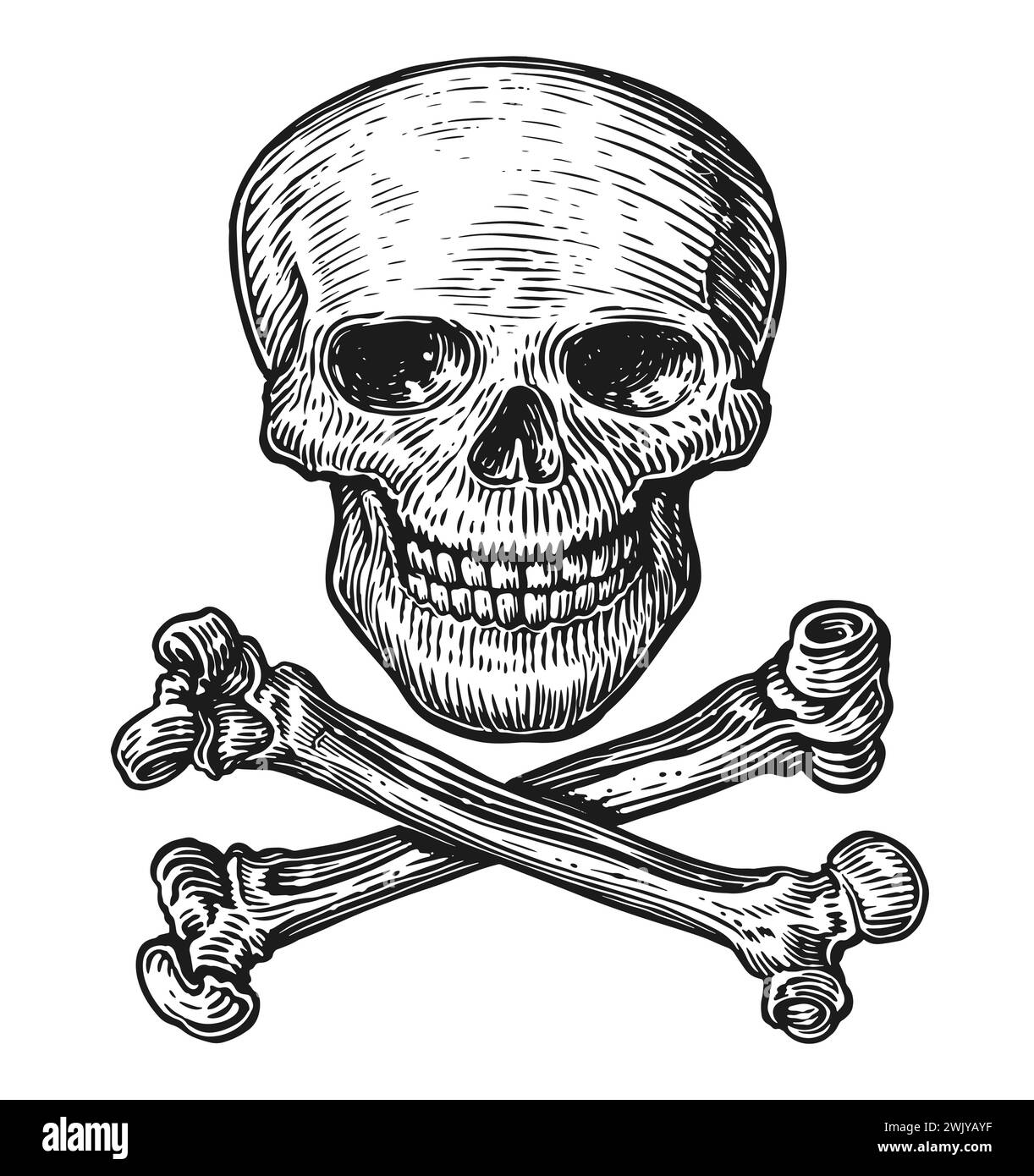 Jolly Roger. Crâne humain dessiné à la main avec des os croisés dans le style de gravure vintage. Illustration vectorielle d'esquisse Illustration de Vecteur