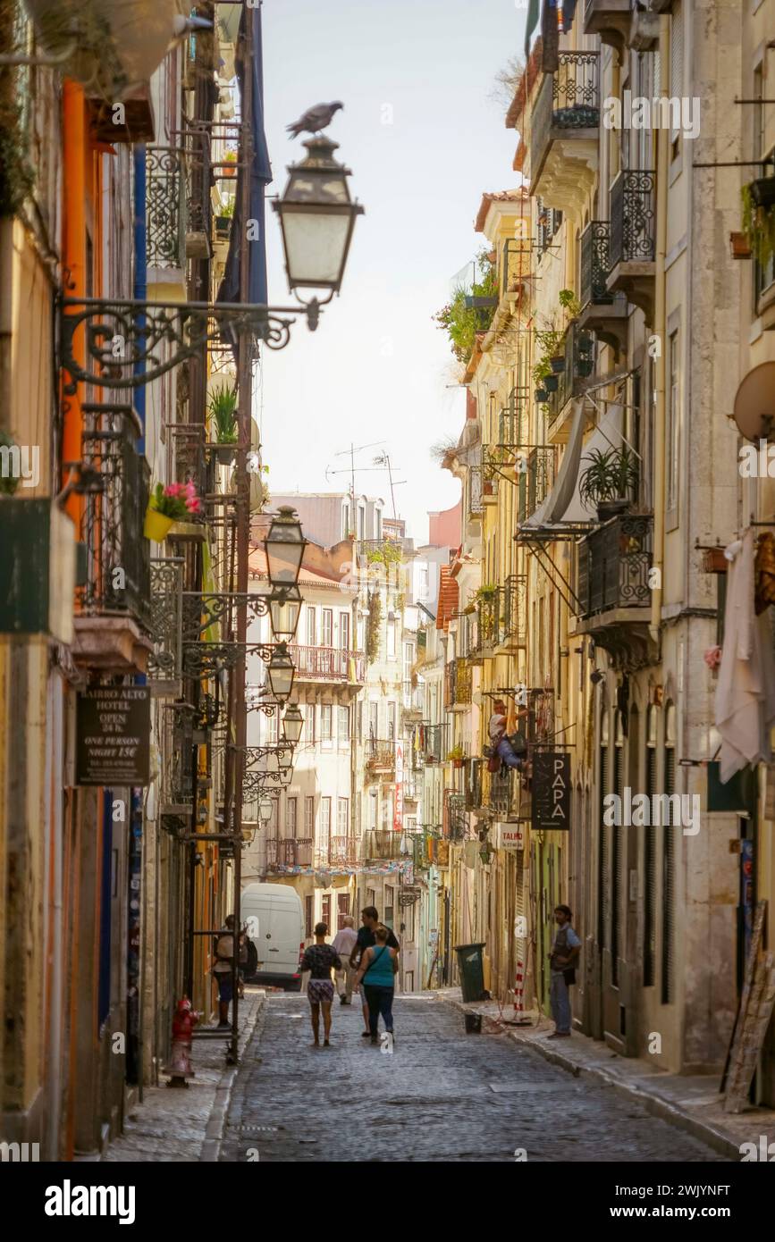 Vue sur la rue de Rua de Rosa dans le quartier Bairro Alto de Lisbonne, Portugal Banque D'Images