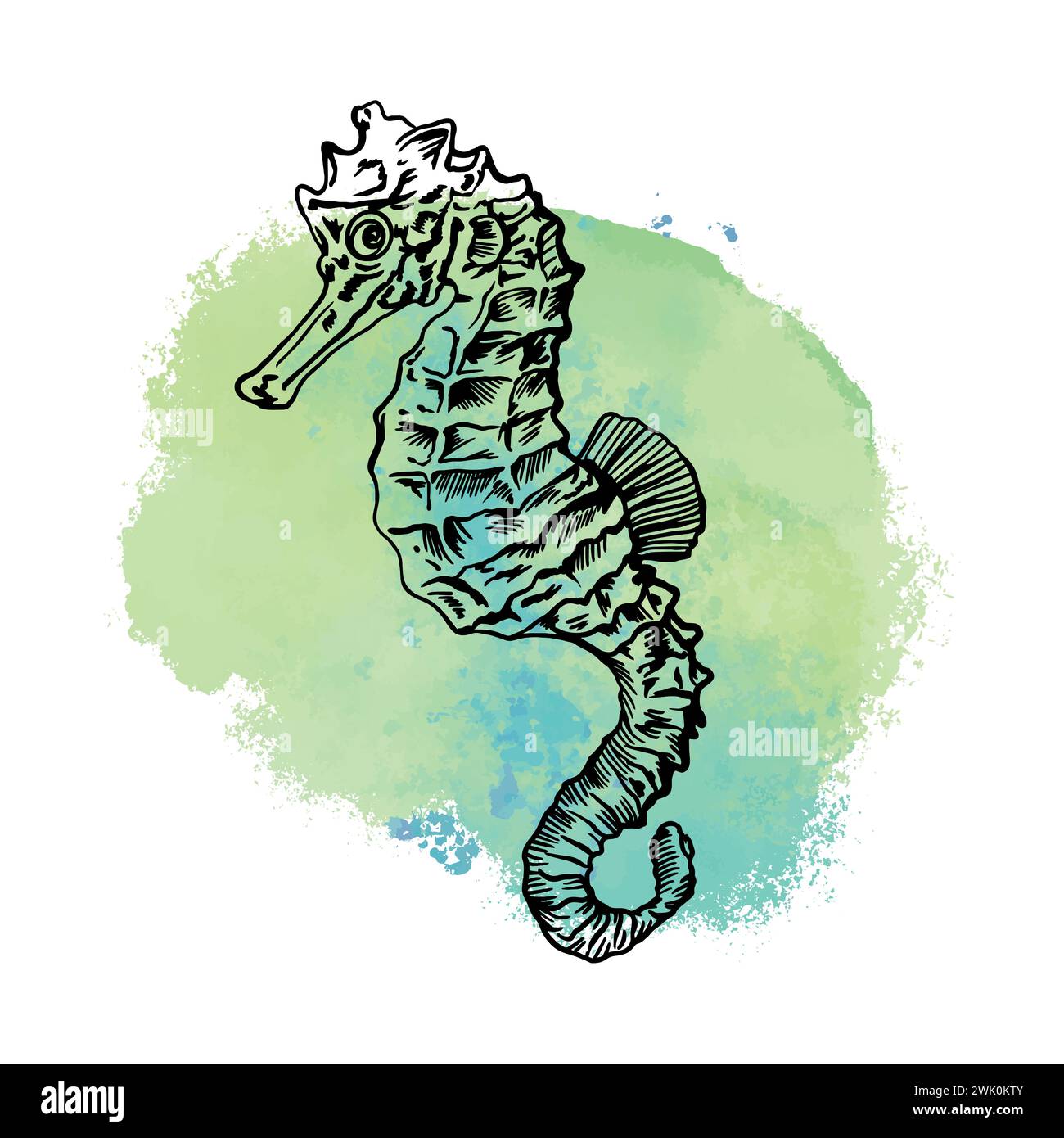 Hippocampe, graphismes. Illustration vectorielle avec un point bleu sur le fond. Cartes, couvertures, affiches nautiques, bannières, emballages, étiquettes. Illustration de Vecteur