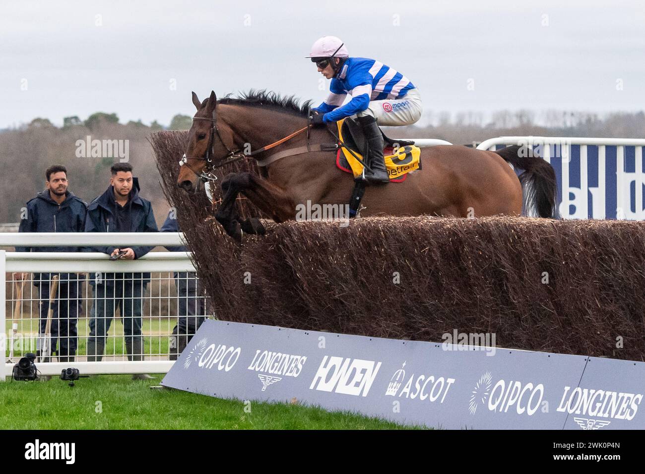 Ascot, Berkshire, Royaume-Uni. 17 février 2024. Cheval pic D'Orhy monté par Jockey Harry Cobden efface un saut avant de remporter le Betfair Ascot Steeple Chase au Betfair Ascot Chase Raceday à Ascot Racecourse pour la propriétaire Mrs Johnny de la Hey et l'entraîneur Paul Nicholls, Ditcheat. Commanditaire Morson Group. Crédit : Maureen McLean/Alamy Live News Banque D'Images