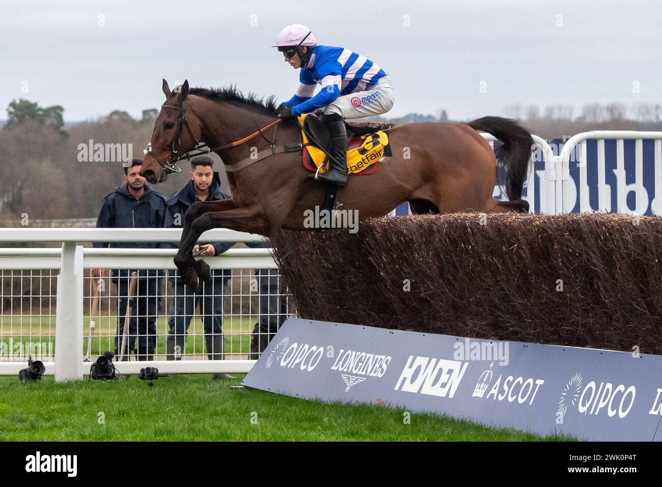 Ascot, Berkshire, Royaume-Uni. 17 février 2024. Cheval pic D'Orhy monté par Jockey Harry Cobden efface un saut avant de remporter le Betfair Ascot Steeple Chase au Betfair Ascot Chase Raceday à Ascot Racecourse pour la propriétaire Mrs Johnny de la Hey et l'entraîneur Paul Nicholls, Ditcheat. Commanditaire Morson Group. Crédit : Maureen McLean/Alamy Live News Banque D'Images