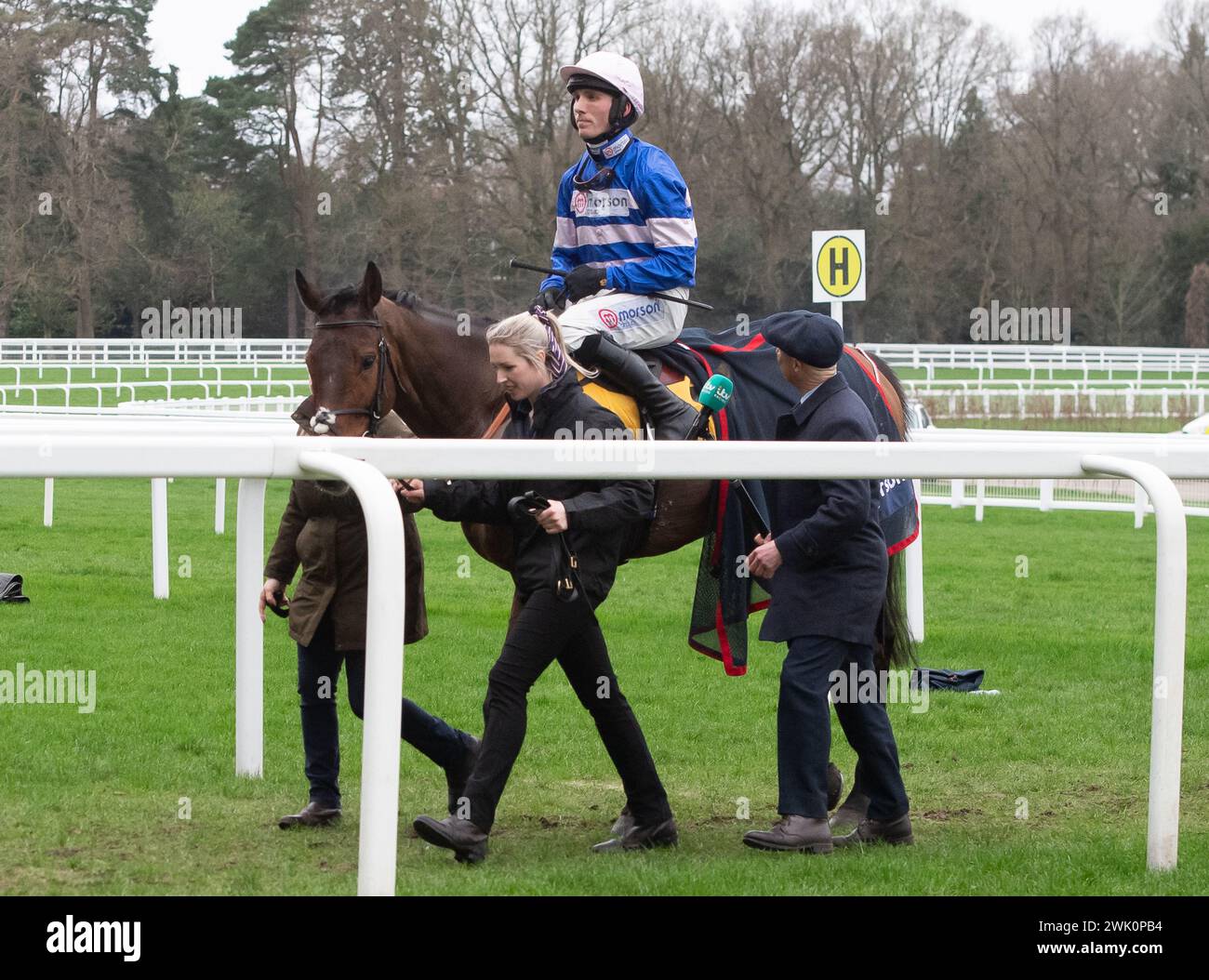 Ascot, Berkshire, Royaume-Uni. 17 février 2024. Cheval pic D'Orhy monté par Jockey Harry Cobden vainqueur de la Betfair Ascot Steeple Chase au Betfair Ascot Chase Raceday à Ascot Racecourse pour la propriétaire Mme Johnny de la Hey et l'entraîneur Paul Nicholls, Ditcheat. Commanditaire Morson Group. Crédit : Maureen McLean/Alamy Live News Banque D'Images