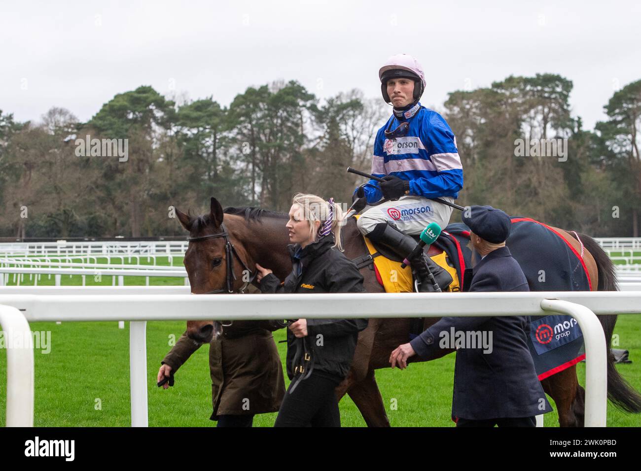 Ascot, Berkshire, Royaume-Uni. 17 février 2024. Cheval pic D'Orhy monté par Jockey Harry Cobden vainqueur de la Betfair Ascot Steeple Chase au Betfair Ascot Chase Raceday à Ascot Racecourse pour la propriétaire Mme Johnny de la Hey et l'entraîneur Paul Nicholls, Ditcheat. Commanditaire Morson Group. Crédit : Maureen McLean/Alamy Live News Banque D'Images