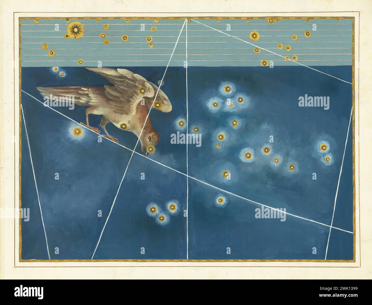 Carte céleste de Corvus de Bayer, avec les étoiles en or. 1603 Banque D'Images