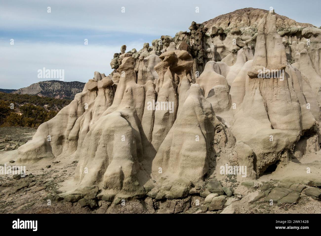Formes grotesques dans l'argile érodée de la formation Wasatch près de Corcoran Peak, dans le comté de Mesa, Colorado Banque D'Images