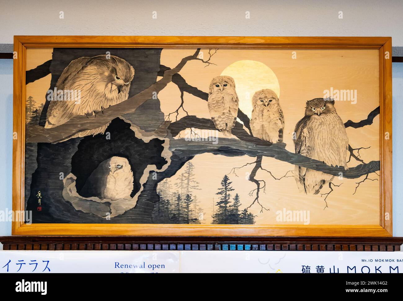 Tableau encadré de la famille Fish-Owl de Blakiston. Hokkaido, Japon. Banque D'Images