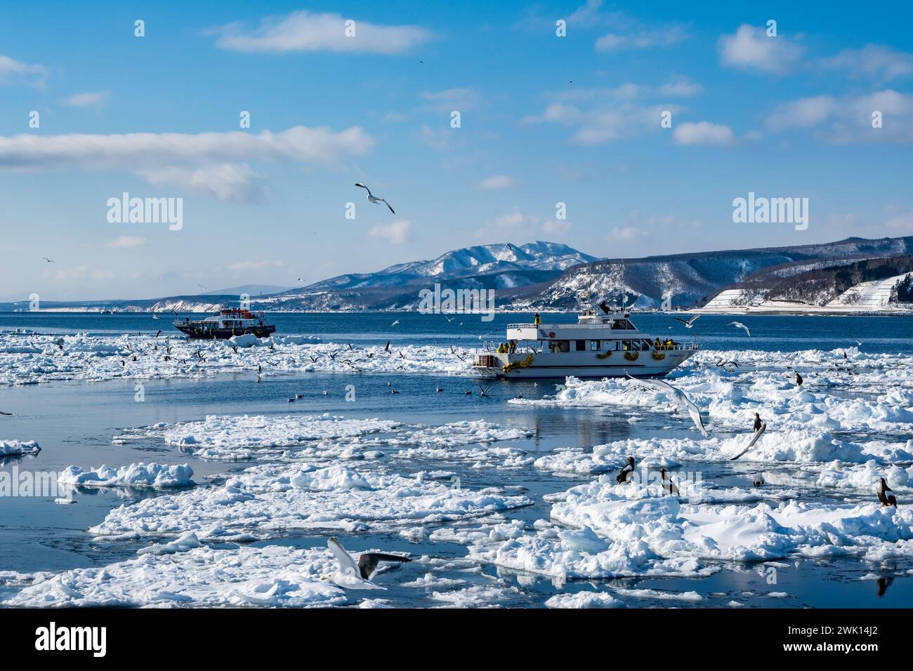 Bateaux d'excursion amenant les touristes à profiter du paysage hivernal. Rausu, Hokkaido, Japon. Banque D'Images