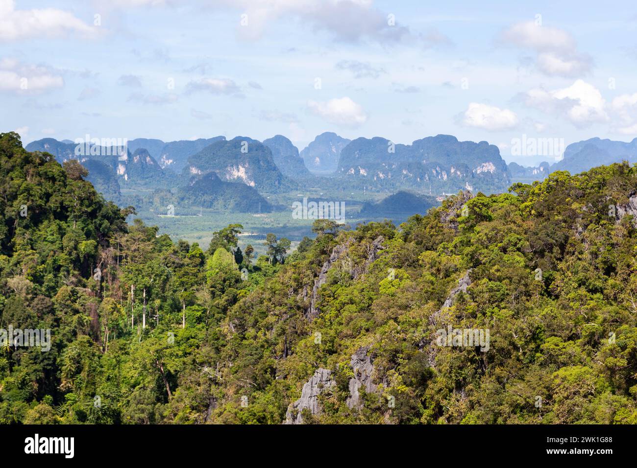 Vue de la province de Krabi depuis le temple de la grotte du tigre (Wat Tham Suea). Falaises calcaires et forêt tropicale. Thaïlande. Banque D'Images