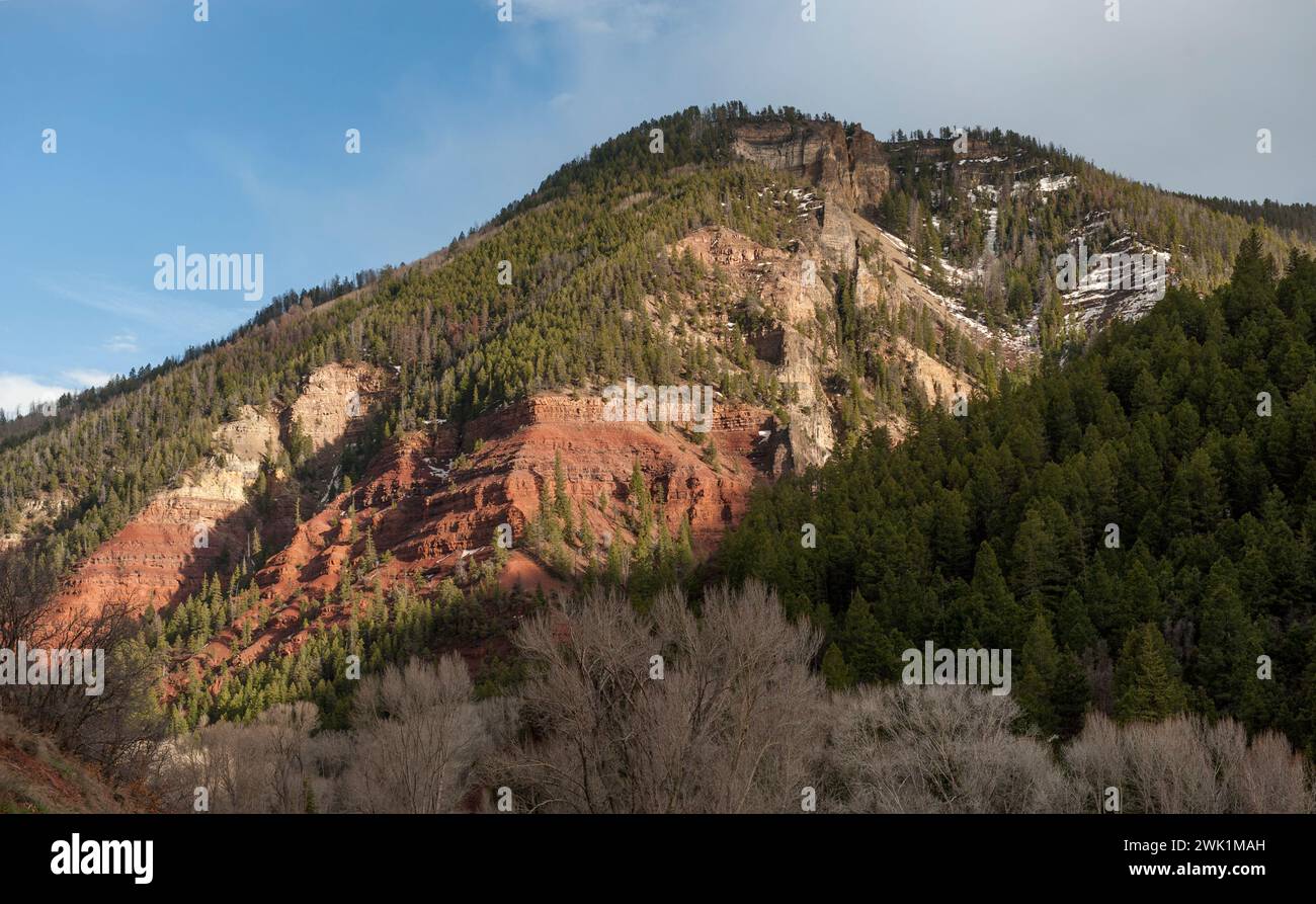 Le canyon de San Miguel à Big Bear Creek, à quelques kilomètres de Telluride, Colorado. Banque D'Images