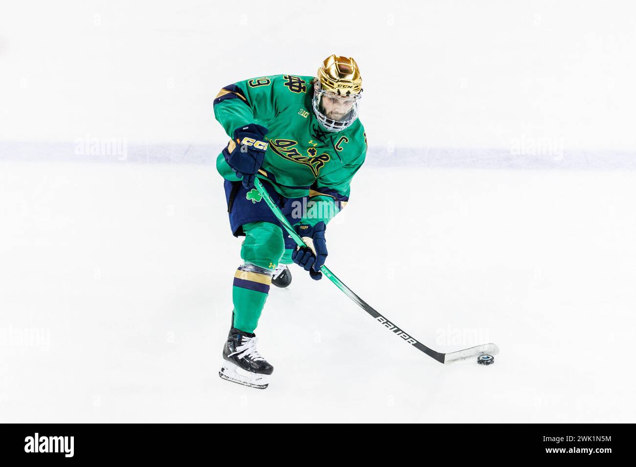 South Bend, Indiana, États-Unis. 17 février 2024. L'attaquant de notre Dame Landon Slaggert (19 ans) tire sur la rondelle lors d'un match de hockey de la NCAA entre les Golden Gophers du Minnesota et les Fighting Irish de notre Dame au Compton Family Ice Arena à South Bend, Indiana. John Mersits/CSM/Alamy Live News Banque D'Images