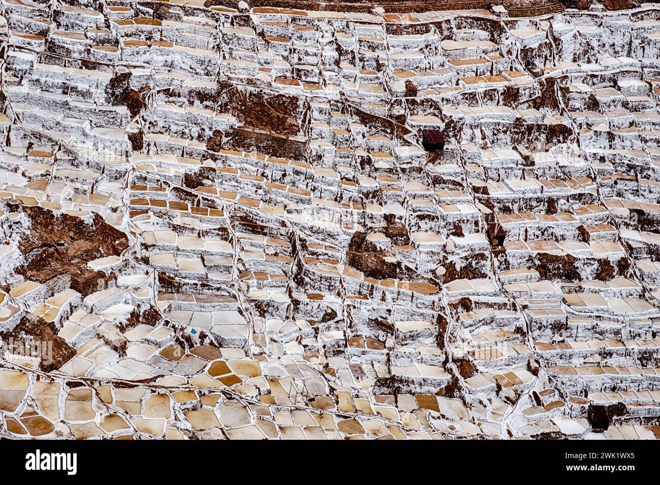 Les anciens étangs salants des Salineras de Maras, alimentés par une source naturelle, deviennent un paysage de lignes sur une colline dans les Andes. Banque D'Images