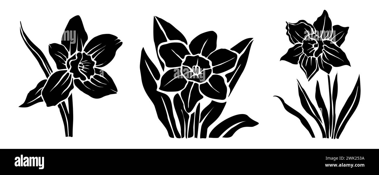 Ensemble de silhouettes noires de fleurs de jonquilles. Illustration de Vecteur