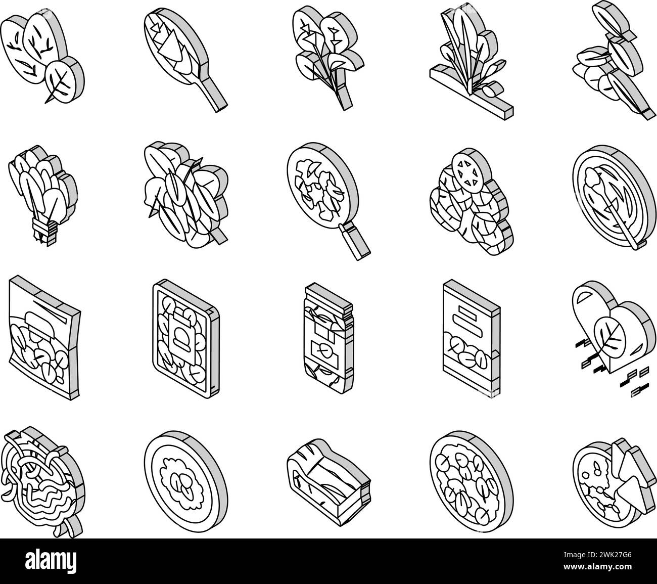 Vecteur de jeu d'icônes isométriques Spinach Healthy Eatery Ingredient Illustration de Vecteur