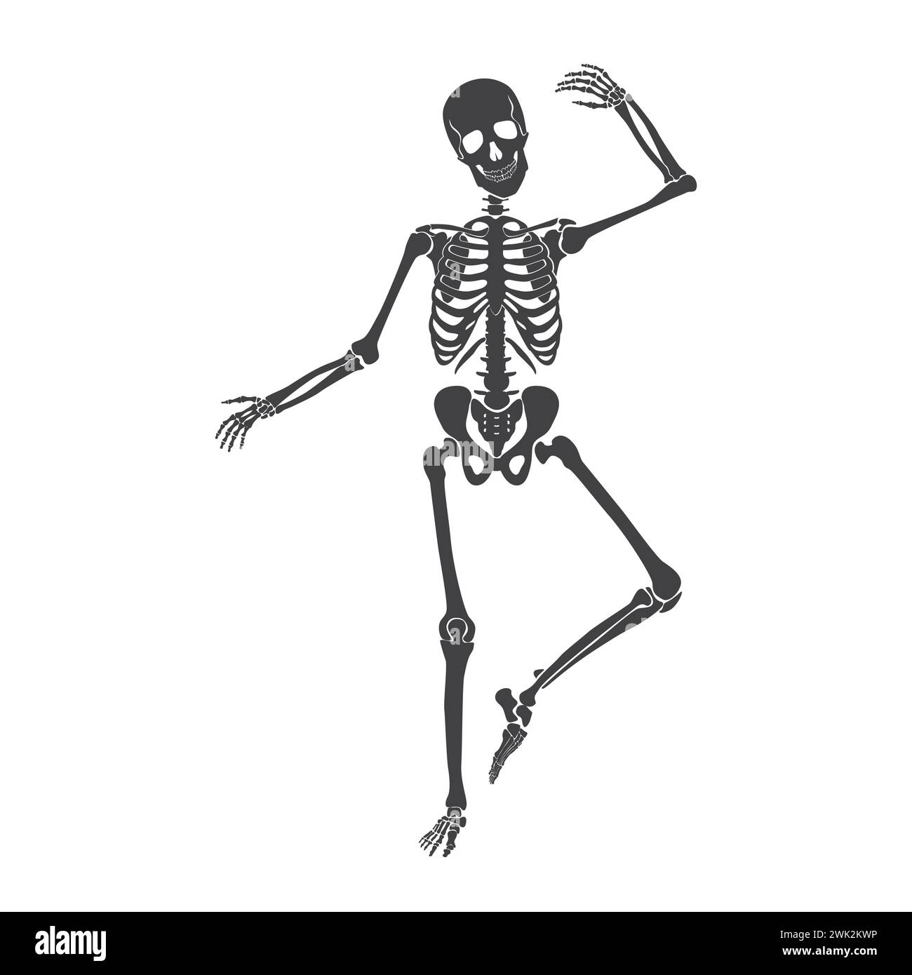 Danse du squelette noir, personnage drôle avec des articulations et la danse du crâne sur l'illustration vectorielle de partie d'Halloween Illustration de Vecteur
