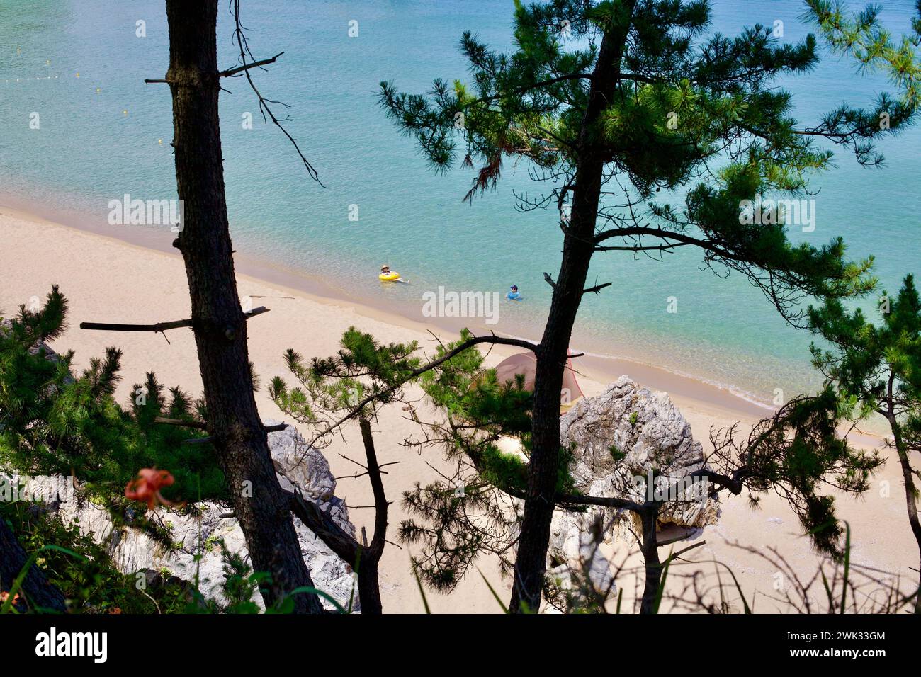 Donghae City, Corée du Sud - 28 juillet 2019 : depuis un point de vue au milieu des pins, deux nageurs sont vus profiter des eaux tranquilles de Chuam B. Banque D'Images