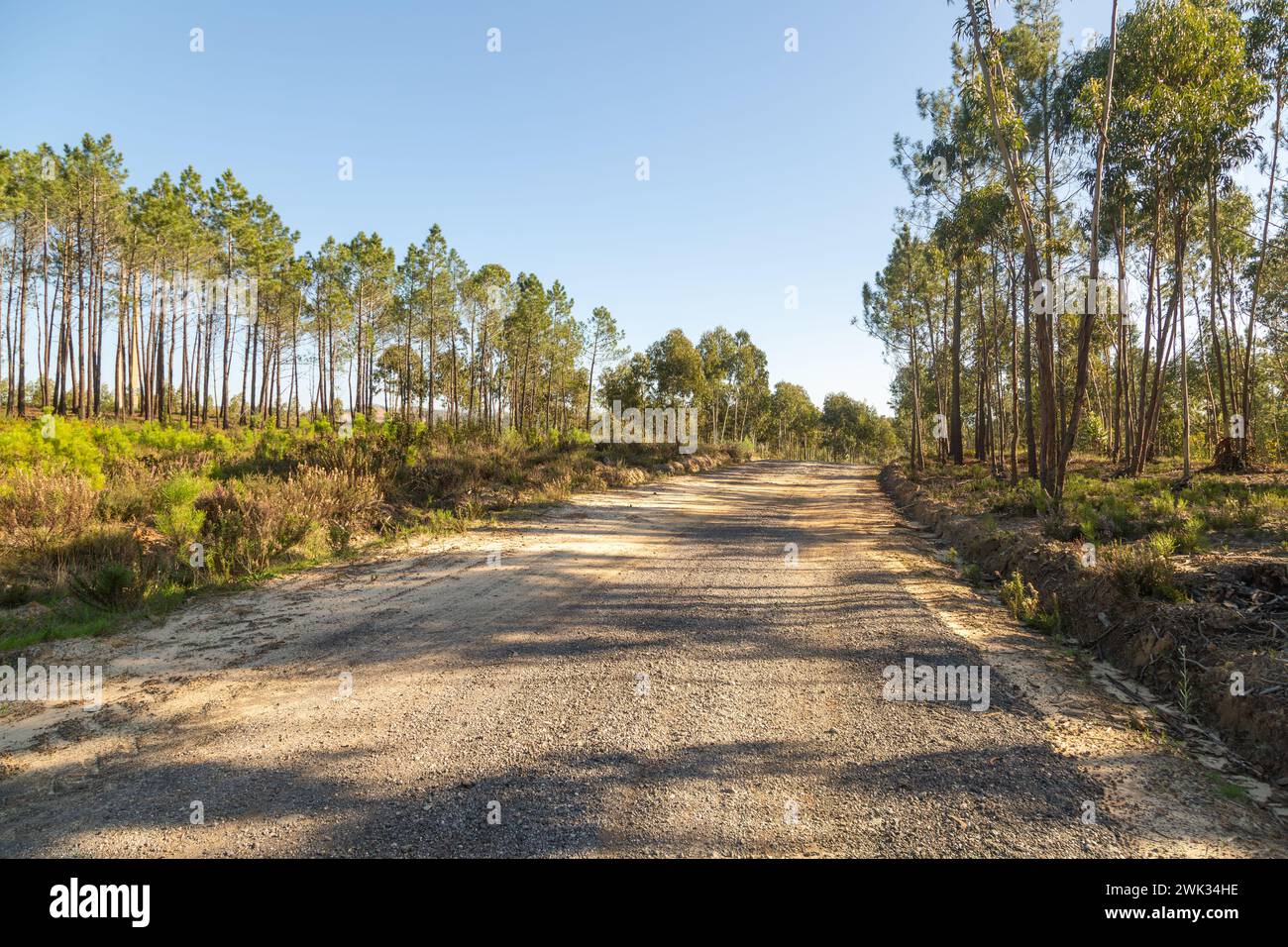 Route de gravier près d'Aljezur au Portugal Banque D'Images