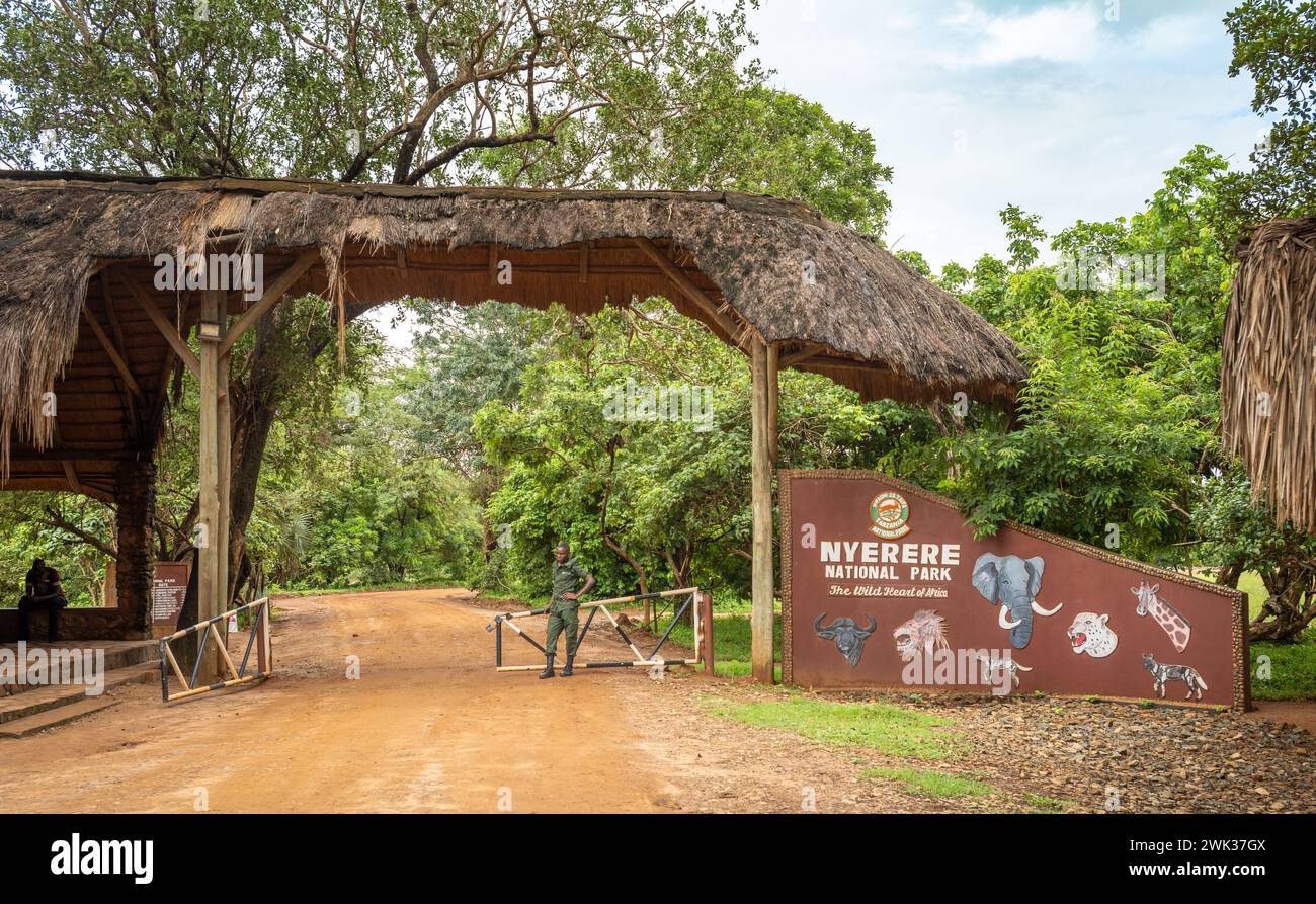 Un garde forestier du parc se trouve à l'entrée de Mtemere du parc national Nyerere (réserve de gibier Selous) en Tanzanie. Banque D'Images Un garde forestier du parc se trouve à l'entrée de Mtemere du parc national Nyerere (réserve de gibier Selous) en Tanzanie. Banque D'Images