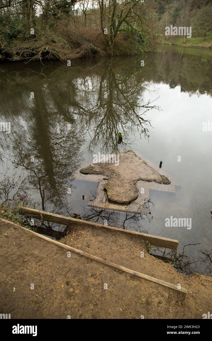 vues sur la forêt Banque D'Images