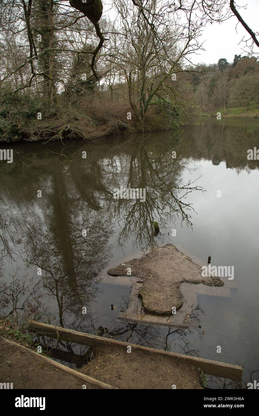 vues sur la forêt Banque D'Images