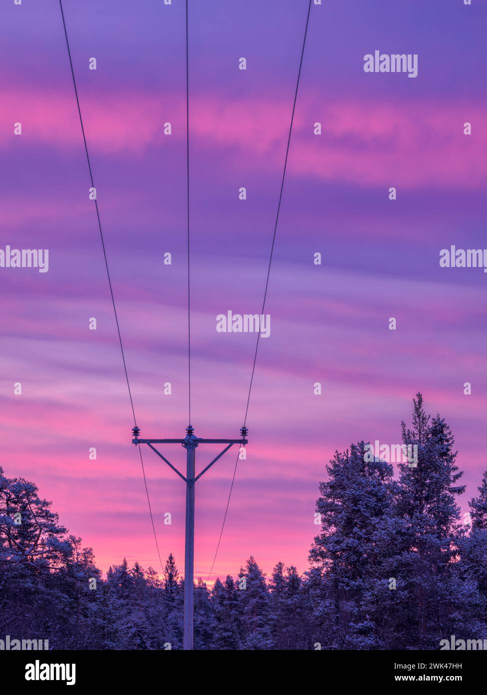 Cette image capture la beauté sereine d'un lever de soleil hivernal avec des cieux violets et roses vibrants, silhouette par des arbres chargés de neige et les lignes sombres de E. Banque D'Images