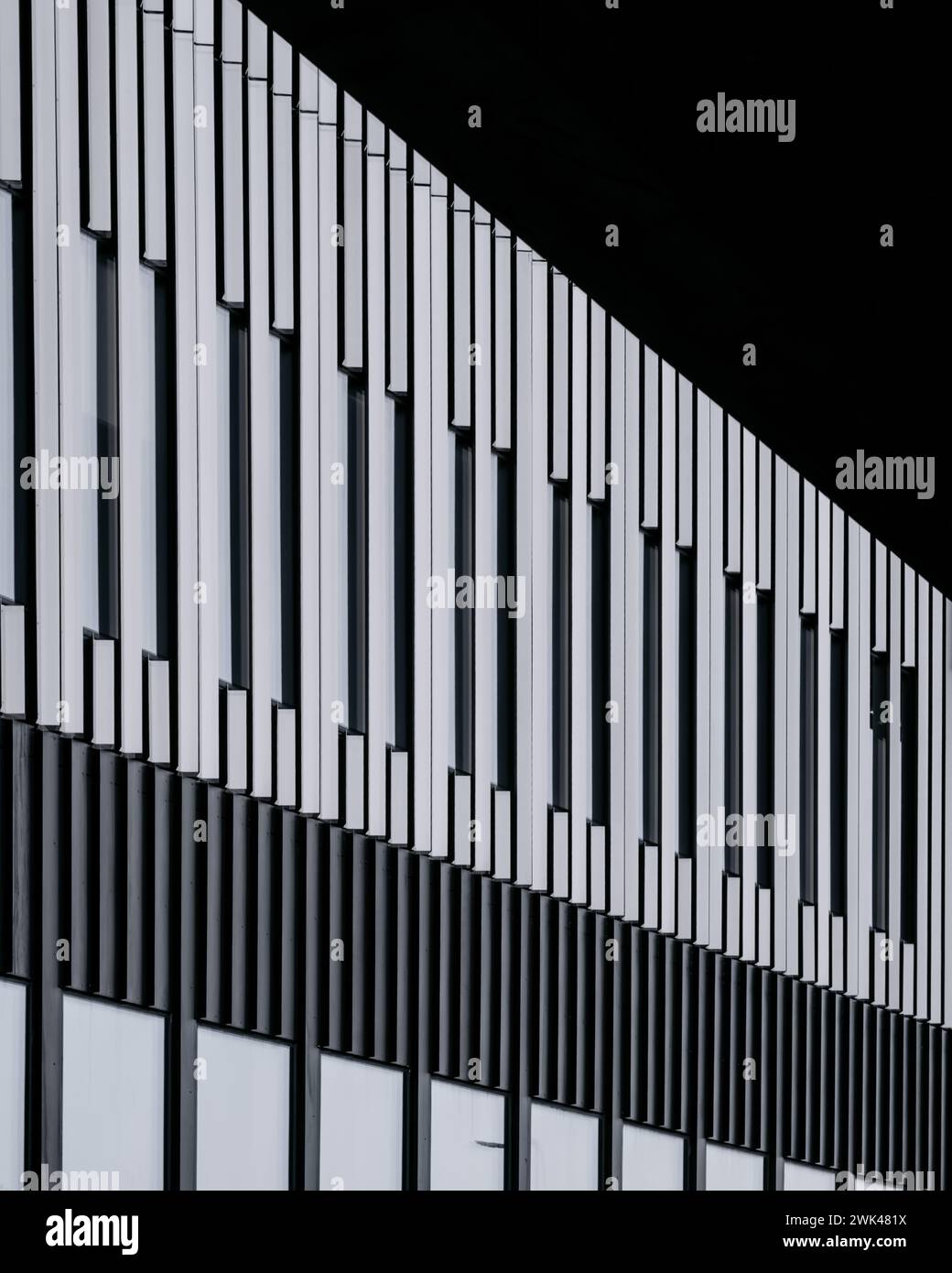 Cette image montre une vue rapprochée d'une façade de bâtiments contemporains, avec un motif saisissant d'ailerons verticaux sur un dos sombre contrasté Banque D'Images