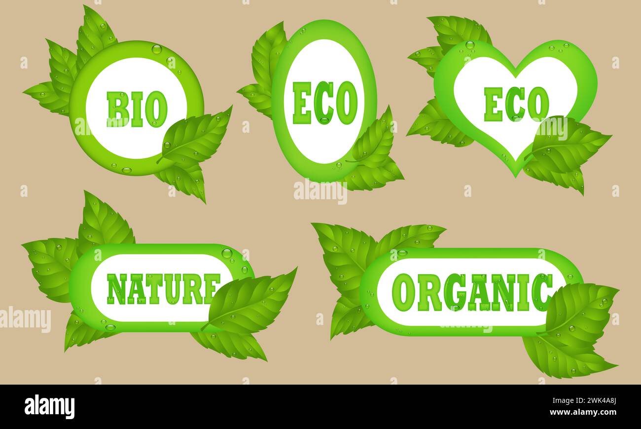 Icône végétalienne, bio éco signe, concept végétarien de nutrition naturelle, aliments crus. Autocollant de conception plat isolé .Vegan, ferme fraîche, nourriture biologique, bio, manger Banque D'Images