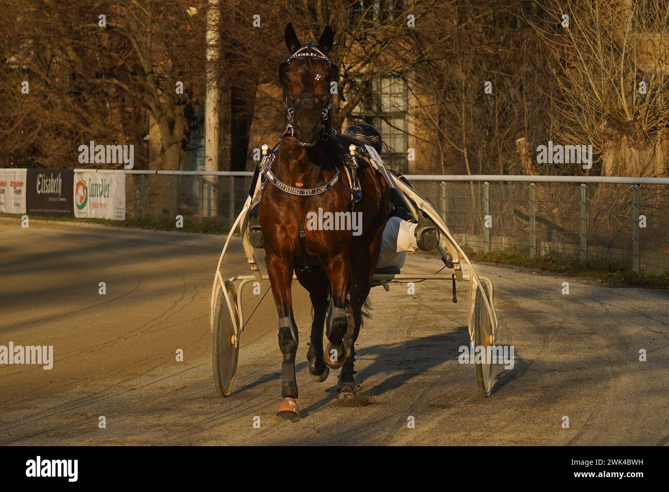 Trabrennpark Krieau - PMU Renntag der Champions 18.02.2024 Banque D'Images