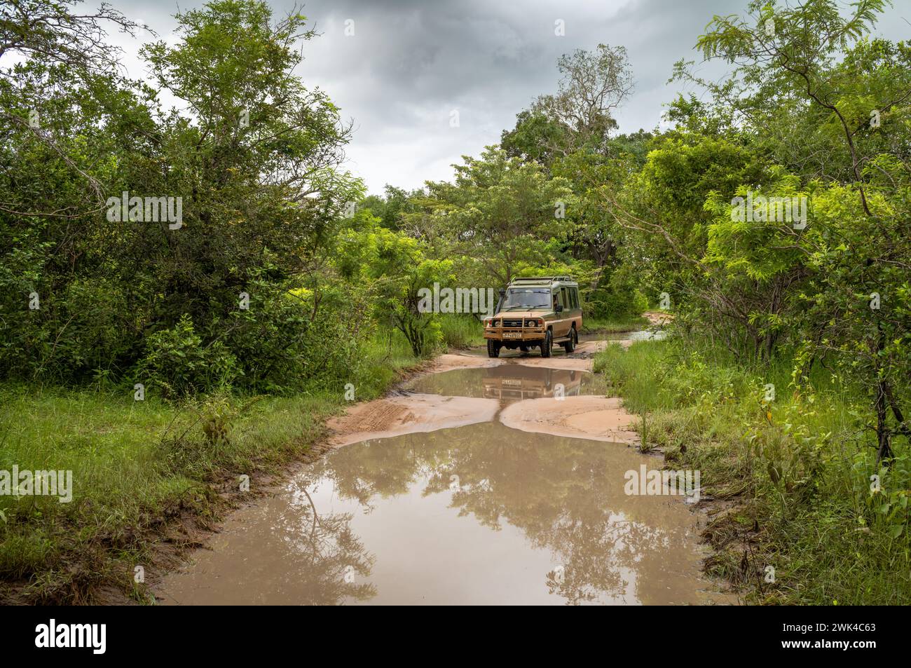 Un véhicule 4x4 roule le long d'une piste inondée lors d'un safari à l'intérieur du parc national de Nyerere (réserve de gibier Selous) en Tanzanie. Banque D'Images