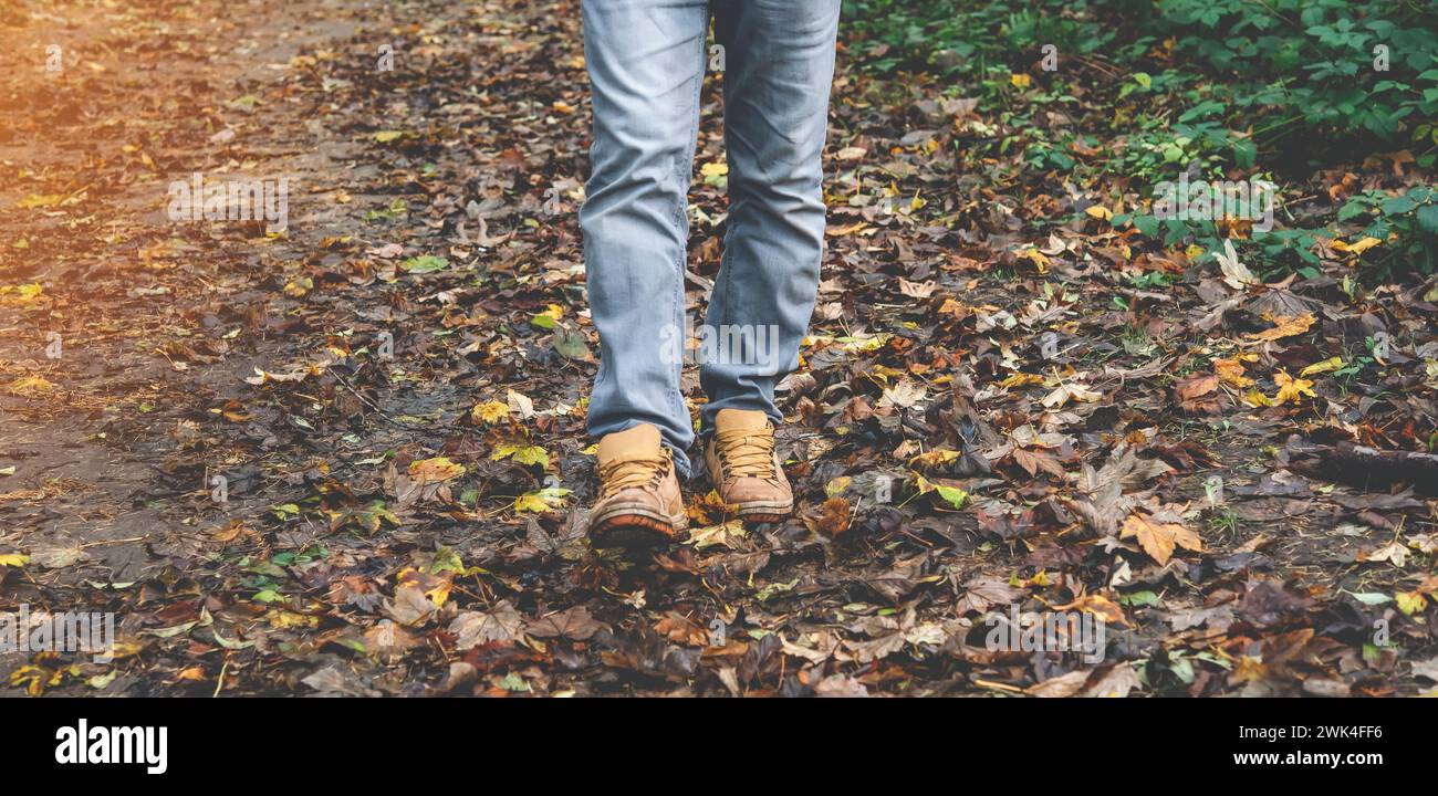 Randonnée d'automne à travers l'herbe haute dans le bois. Gros plan de marche dans la forêt Banque D'Images