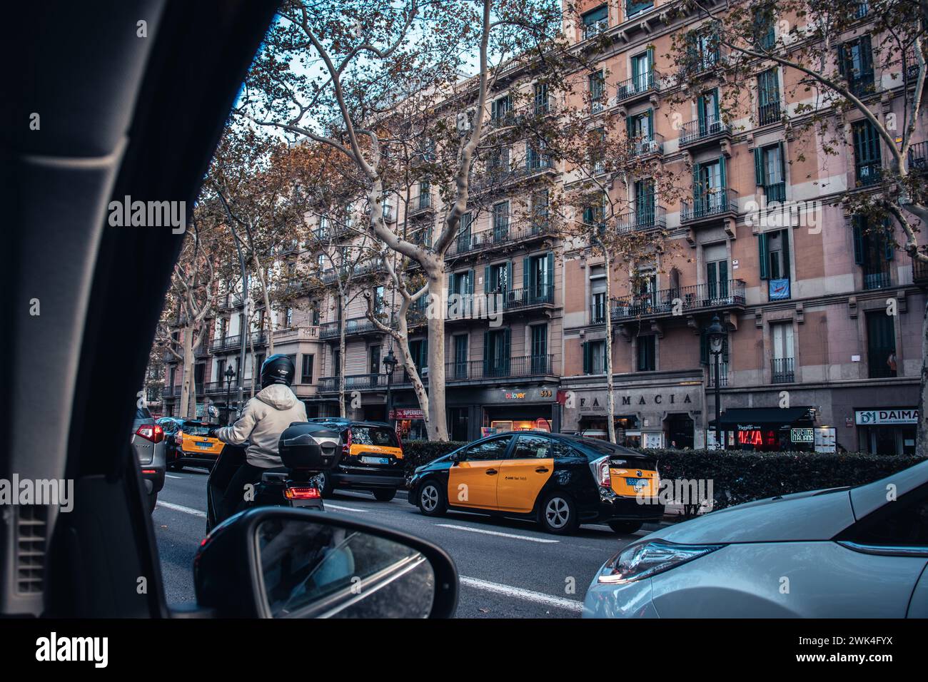 Rue animée au coucher du soleil dans la belle Barcelone. Route dans le centre historique avec circulation dense. Belle photographie de paysages urbains avec de vieux bâtiments. Banque D'Images