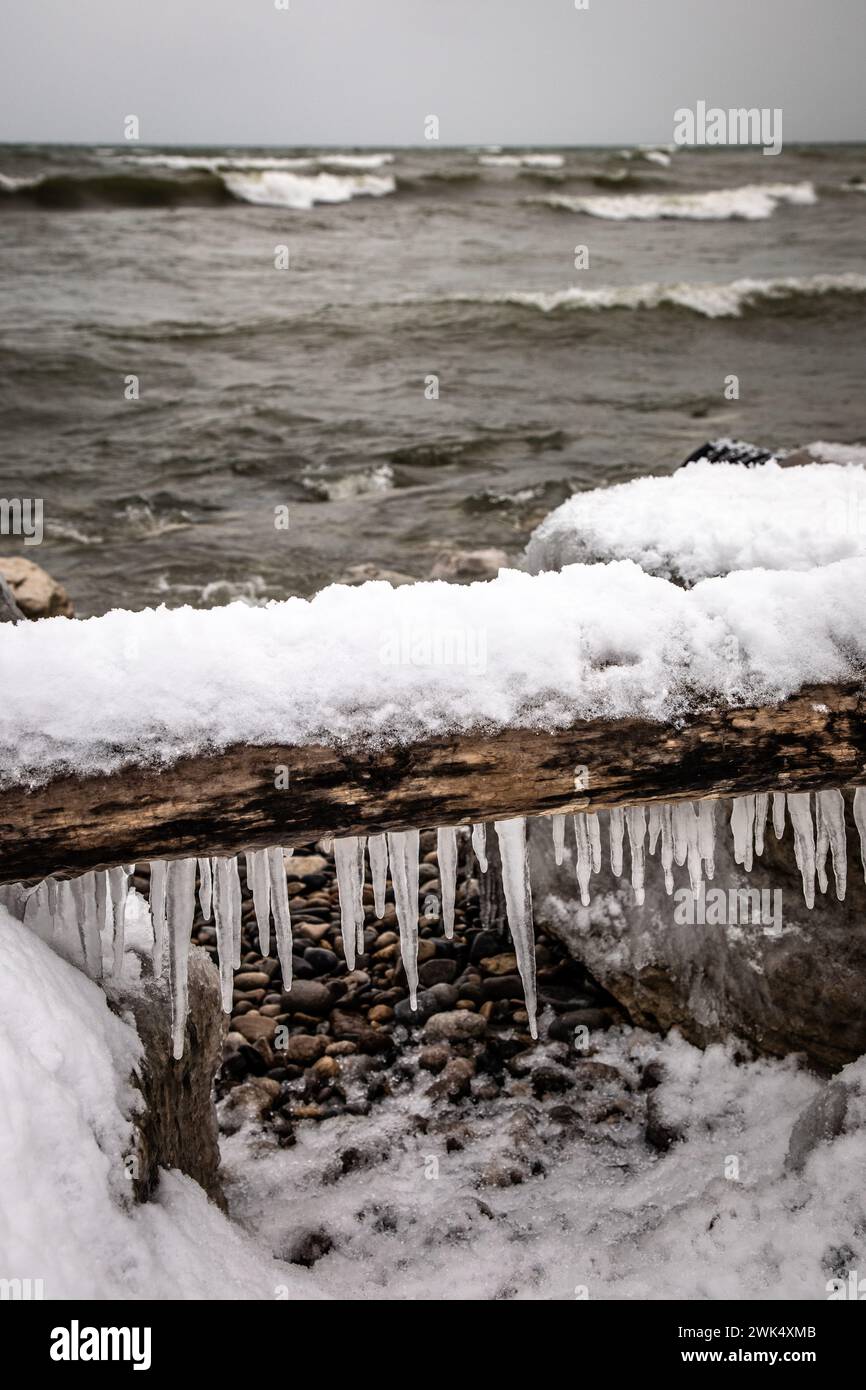 Glaçons suspendus à une vieille bûche sur une plage rocheuse avec des vagues. Southampton, Ontario, Canada Banque D'Images